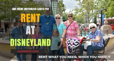 Disneyland's Motorized Cart Rentals: What You Need to Know