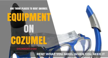 Snorkel Gear Rental: Exploring Cozumel's Underwater Paradise