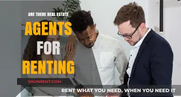 Do Rental Properties Need Real Estate Agents? A Comprehensive Guide