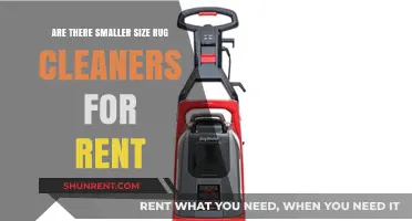Best Rug Cleaners for Rent: Small-Sized Solutions