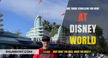 Stroller Rentals: Disney World's Secret Weapon for Parents