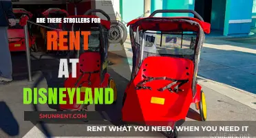 Renting Strollers at Disneyland: Convenience for Families on the Go