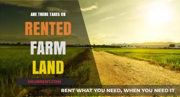 Tax Implications for Renting Farmland: What Landowners Need to Know