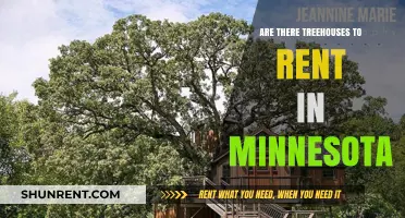 Discover Unique Treehouse Rentals in Minnesota: Your Elevated Getaway Awaits