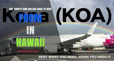 Thrifty and Dollar: Hawaii's Best Car Rental?