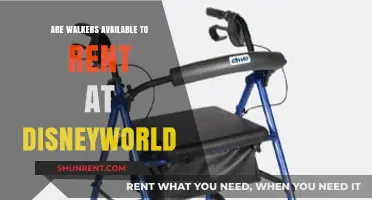 Renting Walkers at Disney World: Convenience and Accessibility Explained
