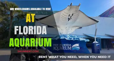 Wheelchair Rentals: Florida Aquarium Accommodations
