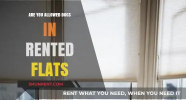 Can Tenants Keep Dogs in Rented Flats? Legal Insights and Tips