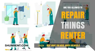 Can Renters Repair Property? Legal Rights and Responsibilities Explained