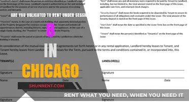 Chicago Section 8: Renting Obligations