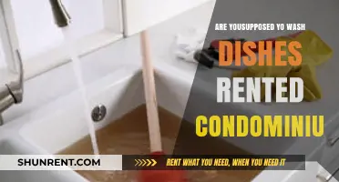 Dishwashing Duties in Rented Condos: What Are Your Responsibilities?