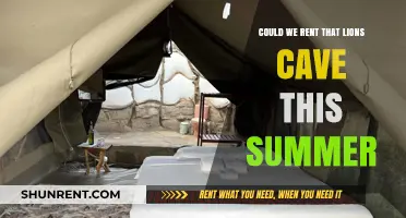 Renting a Lion's Den: A Summer Adventure