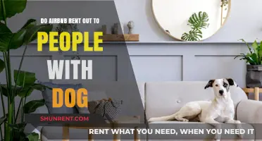 Traveling with Dogs: Airbnb Pet-Friendly Rentals