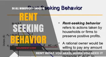 Monopolies: Rent-Seeking Behavior and Market Power