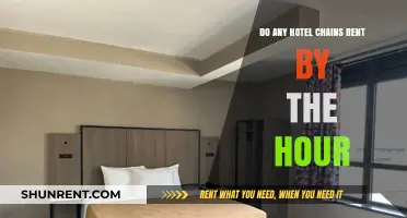 Hotel Chains: Renting by the Hour?