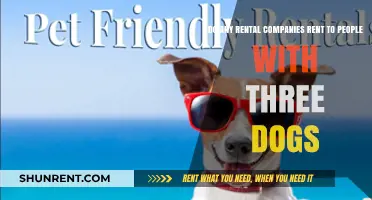 Rental Companies: Pet-Friendly or Not?