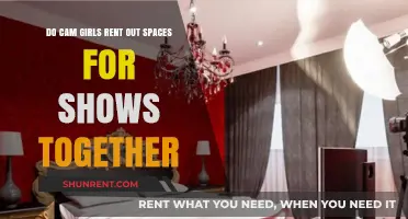 Renting Spaces: Cam Girls and Their Live Show Venues