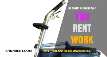 Do Rental Carpet Cleaners Deliver Effective Results? A Comprehensive Review