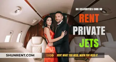 Celebrities and Private Jets: Ownership vs. Rental Trends Revealed