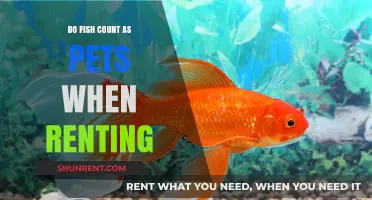 Are Fish Considered Pets in Rental Agreements? What Tenants Need to Know