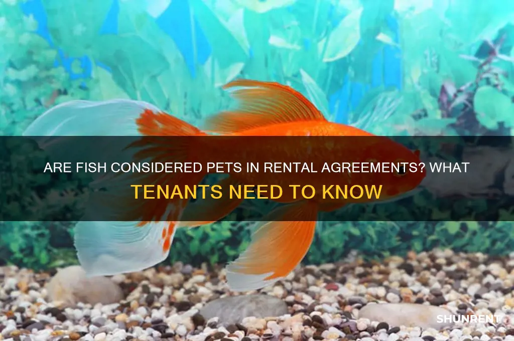 do fish count as pets when renting