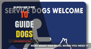 Guide Dogs: Hotels and the Law
