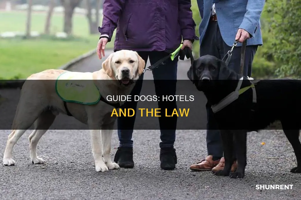 do hotels have to rent to guide dogs