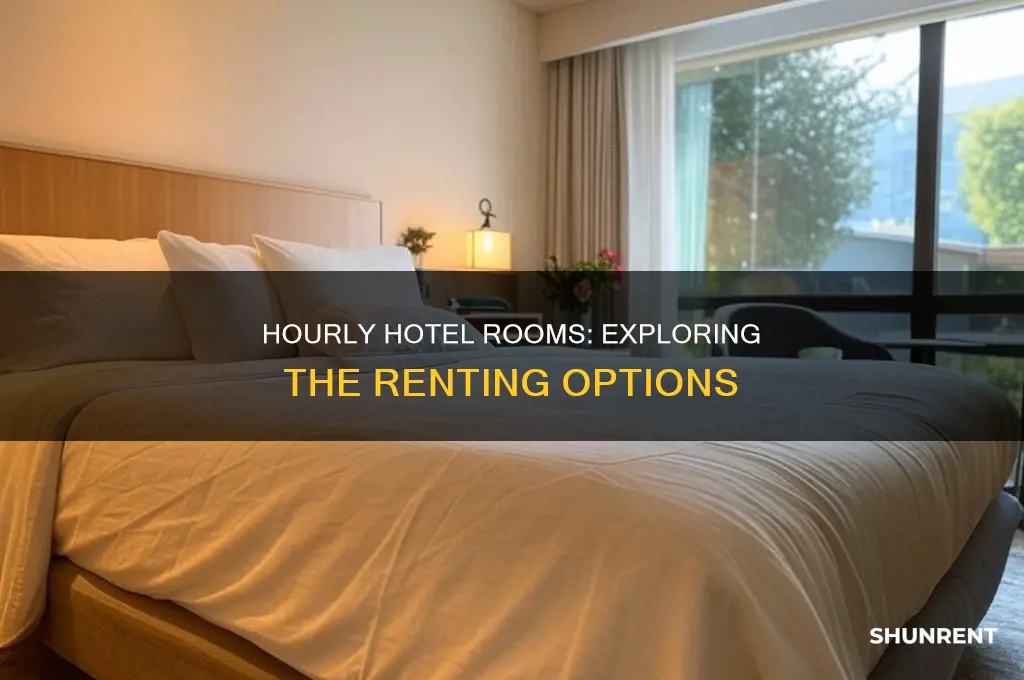 do hotels let you rent by the hour
