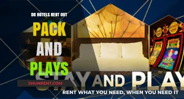 Do Hotels Provide Pack and Plays for Rent?