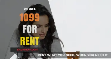 Should You Issue a 1099 for Rental Income? Key Insights