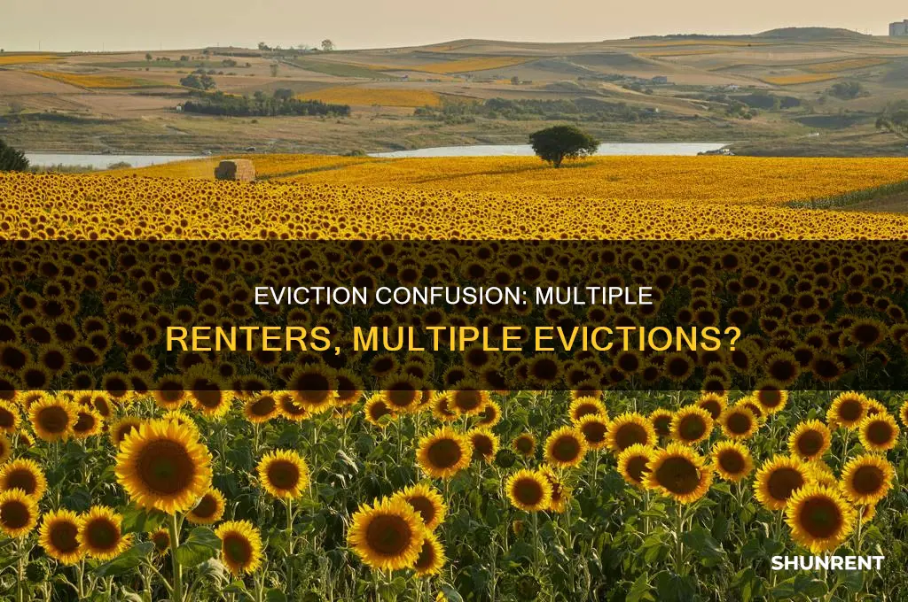 do i have to file separate eviction on each renter