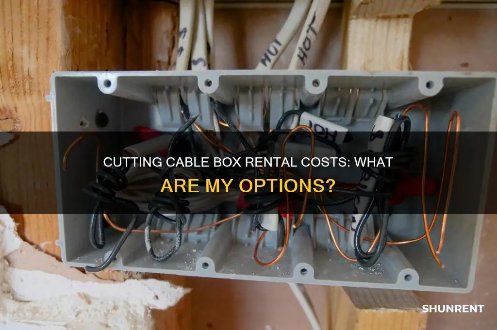do i have to rent a cable box
