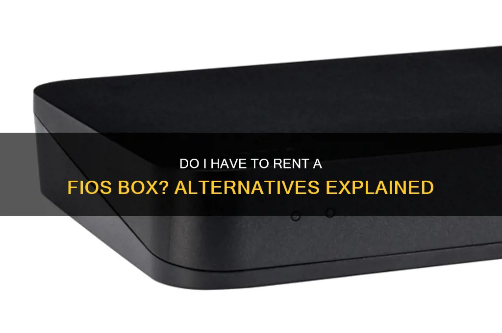 do i have to rent fios box