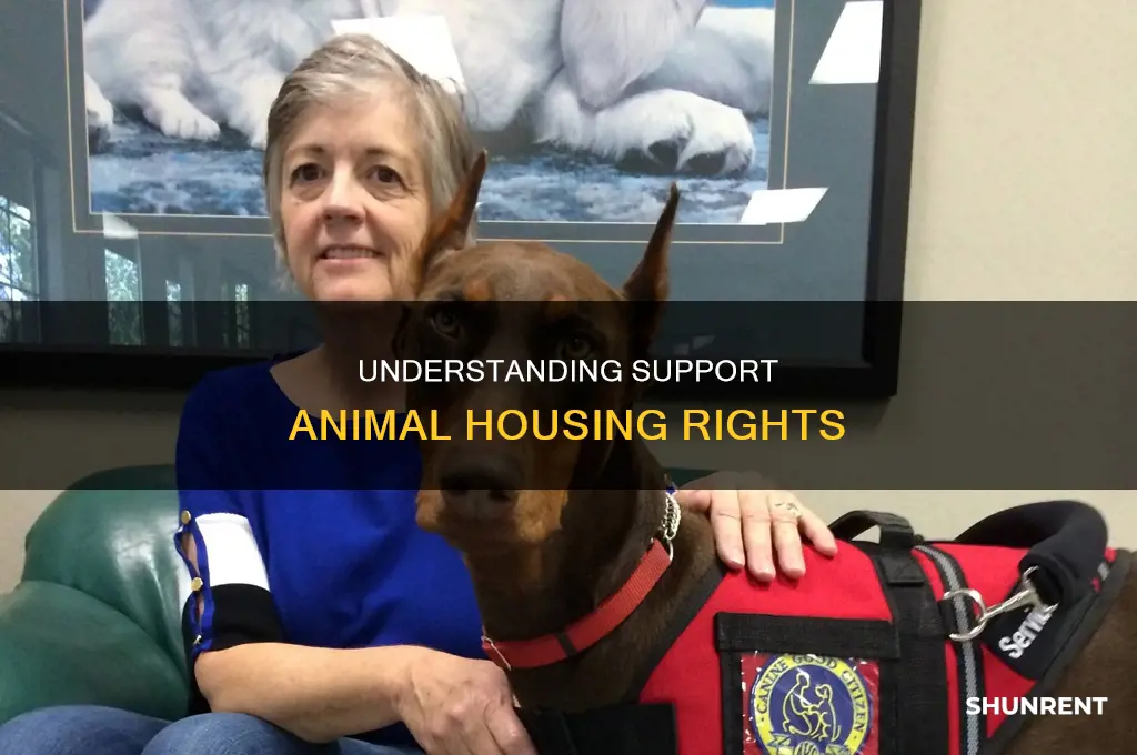 do i have to rent to certified support animals