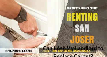 Should You Replace Rental Property Carpet in San Jose?
