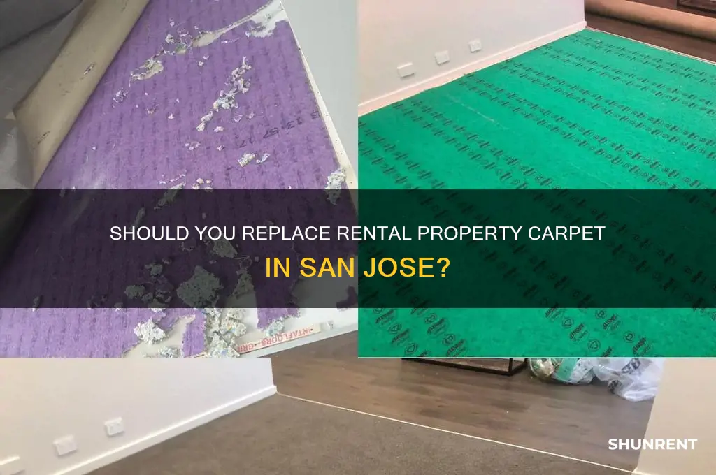 do i have to replace carpet renting san joser