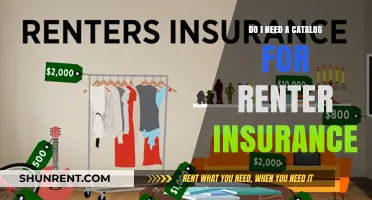 Catalogs for Renter's Insurance: Are They Necessary?