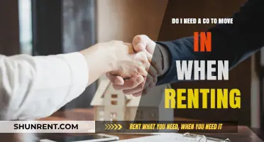Understanding Rental Requirements: The CO Mystery