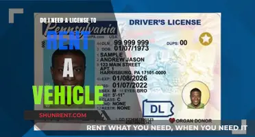 Vehicle Rentals: License Requirements and Legalities