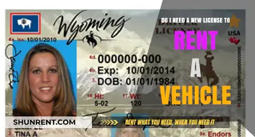 Vehicle Rentals: License Requirements and Rules