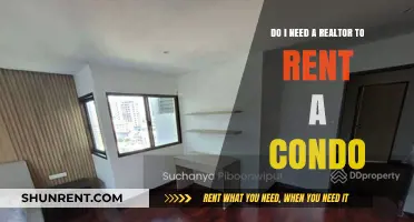 Why You Need a Realtor to Rent a Condo