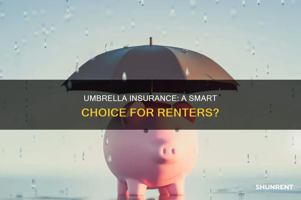 do i need an umbrella policy if i rent