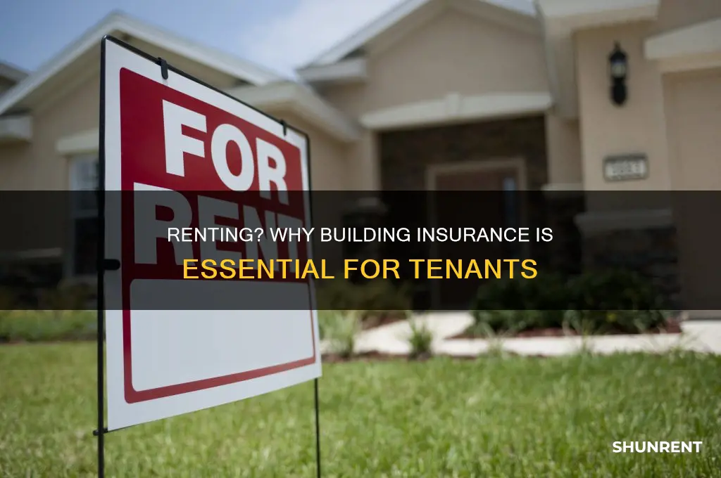do i need building insurance if renting