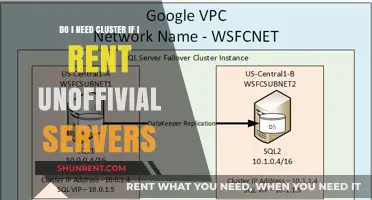 Cluster or Unofficial Servers: What's Best for Your Business?