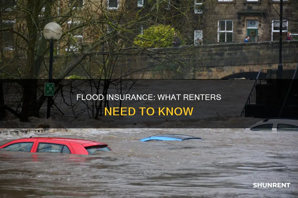 do i need flood insurance as a renter