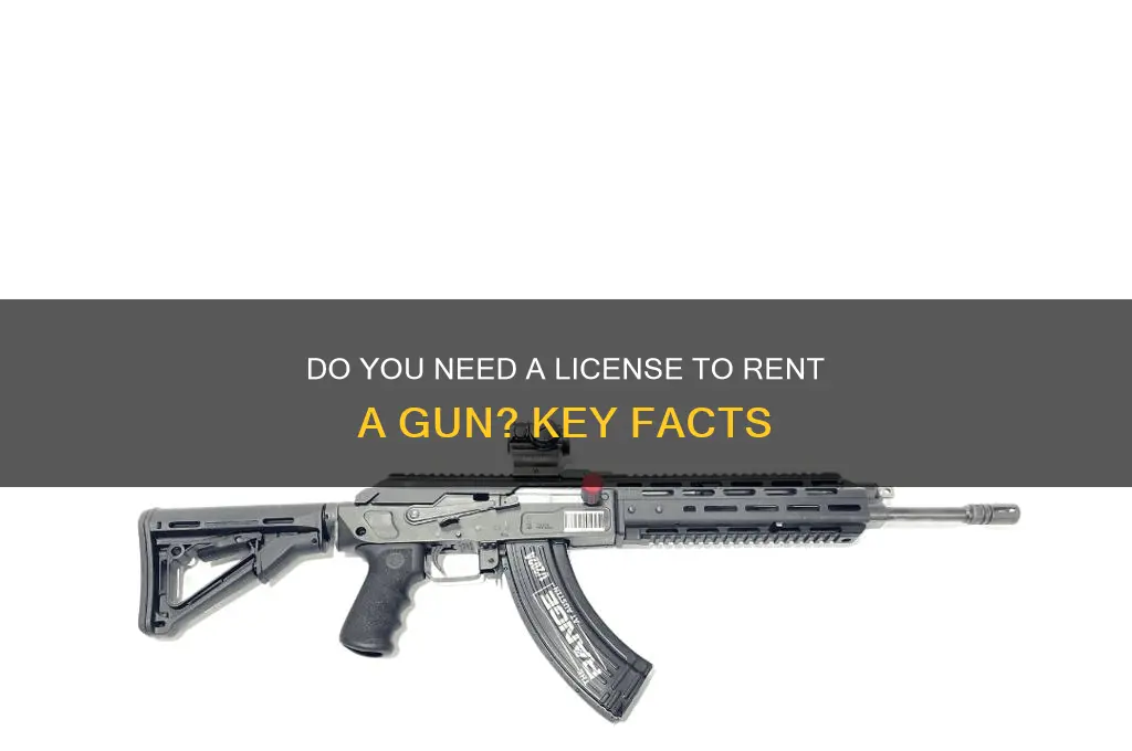 do i need license to rent gun