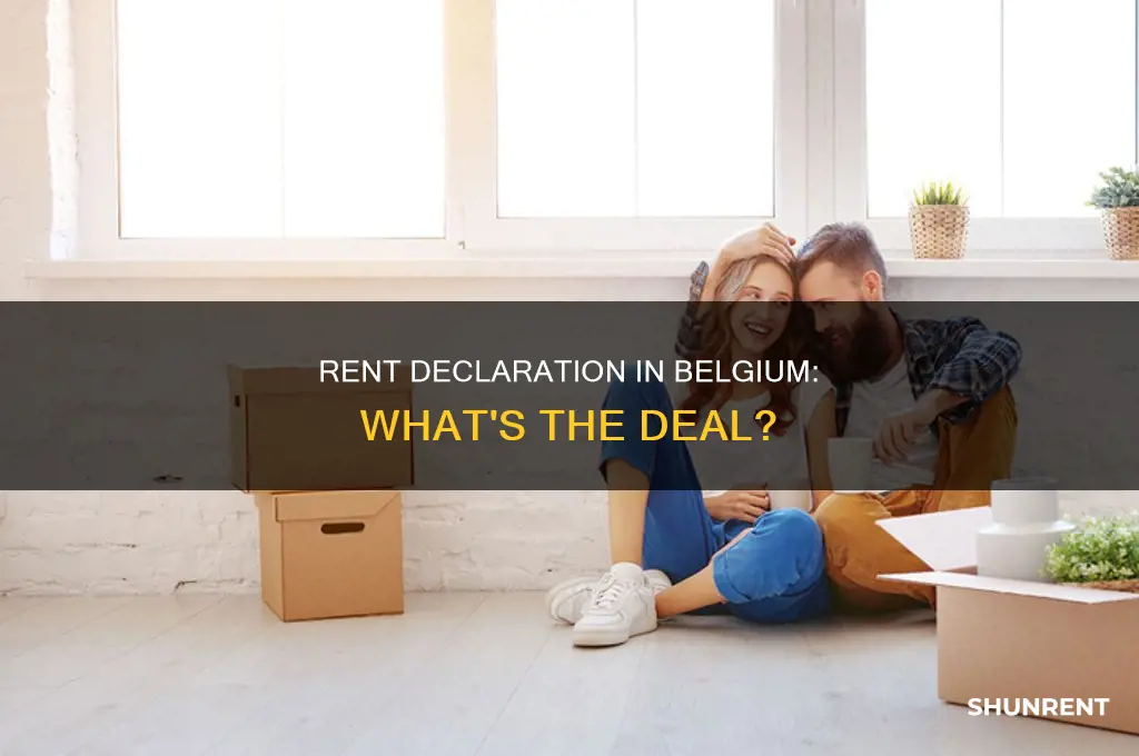 do i need to declare rent in belgium
