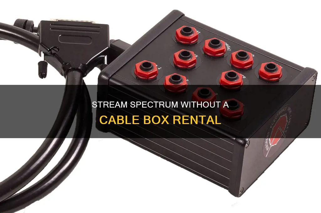 do i need to rent a cable box from spectrum