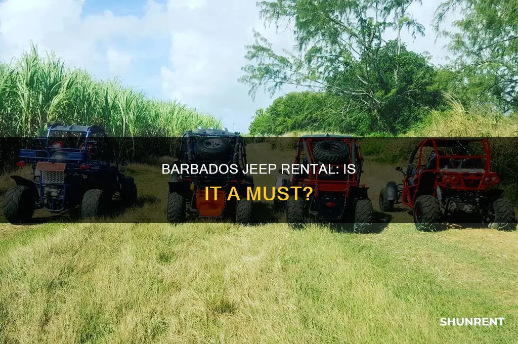 do i need to rent a jeep for barbados