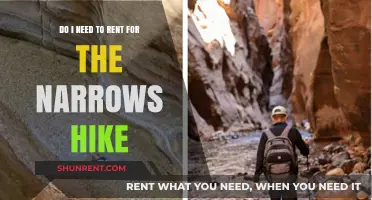 Renting Gear for the Narrows Hike: Is It Necessary?